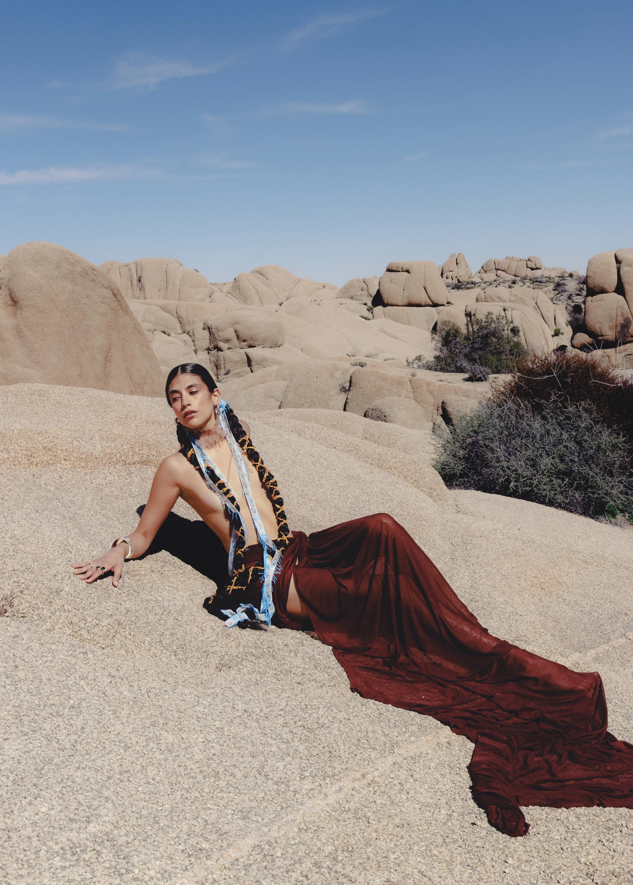 joshua tree bleujimi by @anisha.patil7.jpg