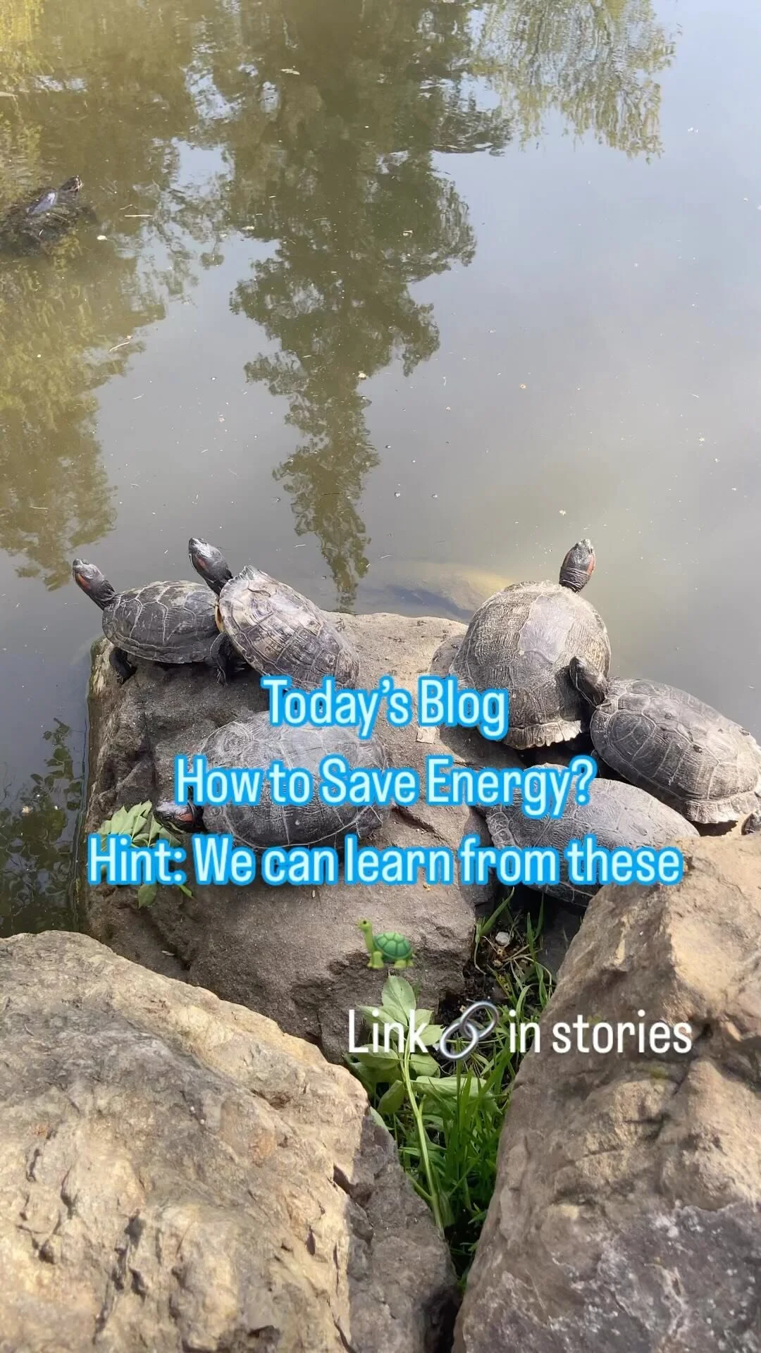 Unified Endocrine & Diabetes Care Top Rated Endocrinologist