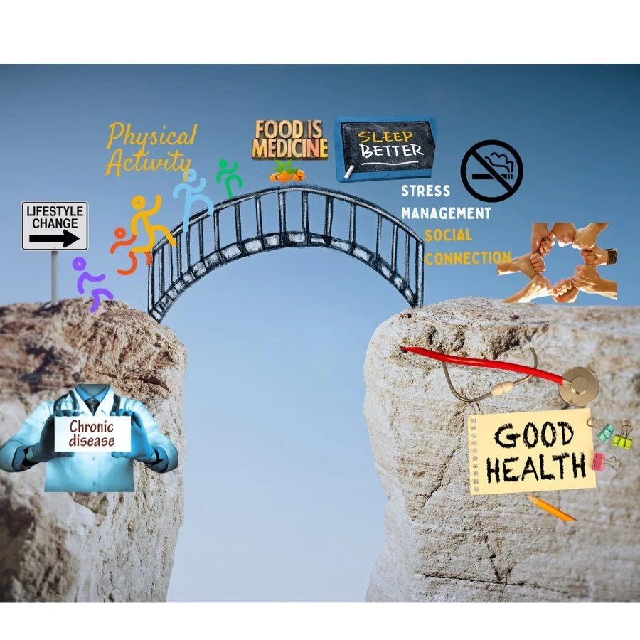 Harmony in Health: Bridging the Gap Between Lifestyle Interventions and Traditional Medicine—A Personal and Professional Perspective