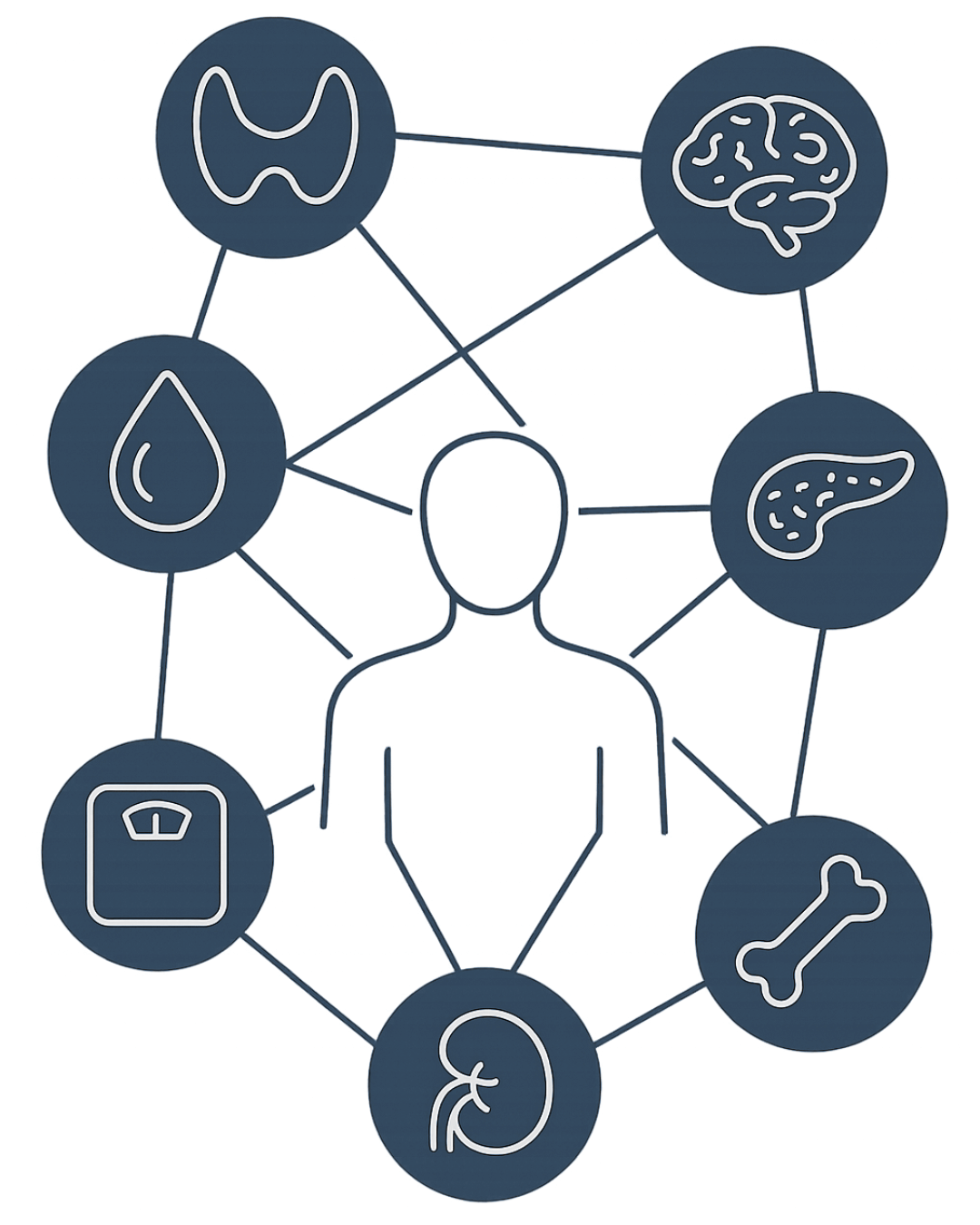 Professional illustration of the endocrine system showing glands such as the thyroid, pancreas, pituitary, and adrenal, representing hormone regulation and metabolic health at Unified Endocrine and Diabetes Care in California