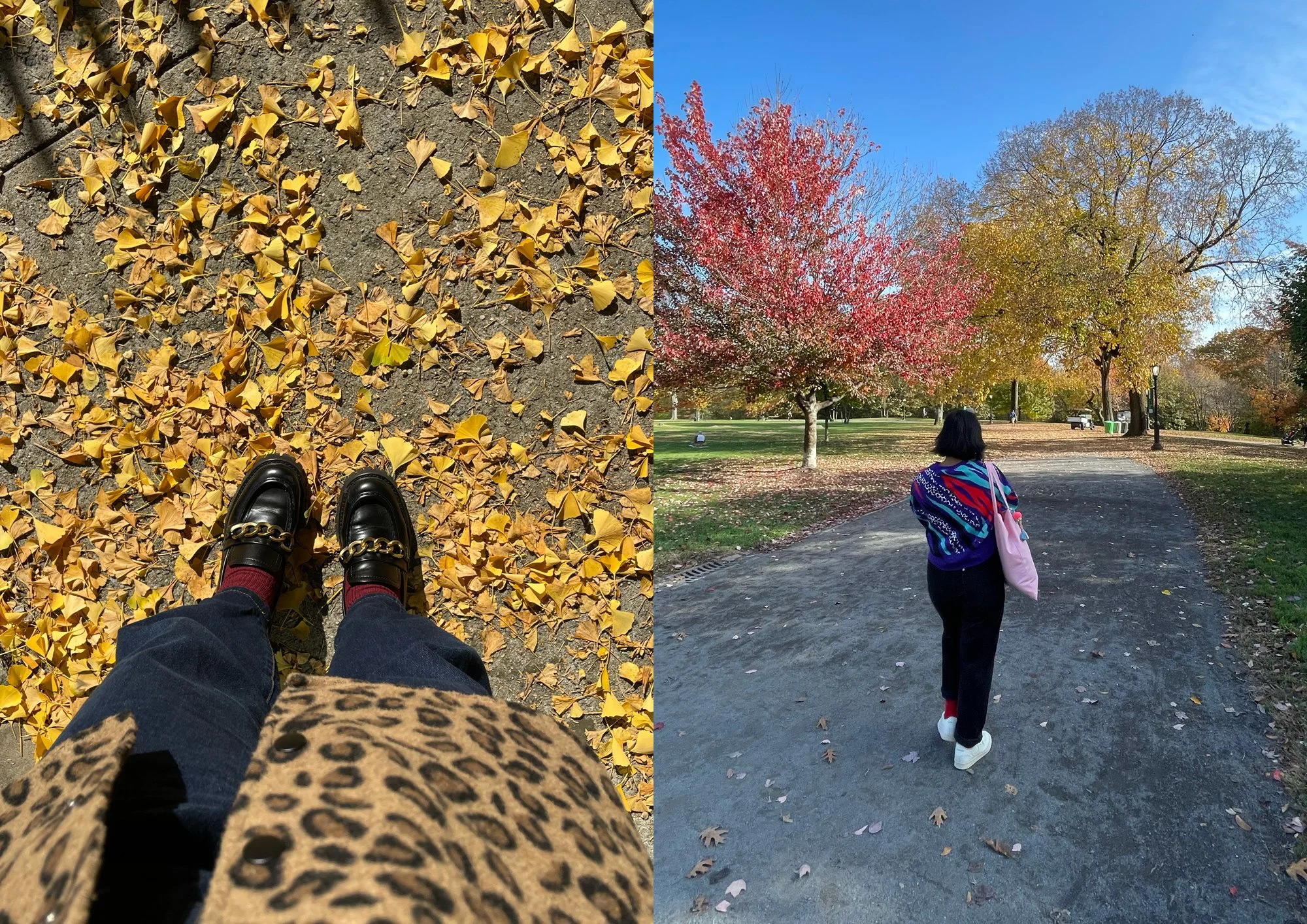 The-World-Behind-It-autumn.jpg