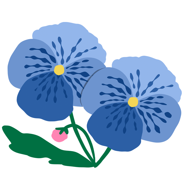 From all the flowers in this world, my ultimate favorite is pansy because it reminds me of spring and it's tiny but also very dramatic looking.