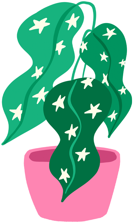 A stylized version of my begonia plant, which I probably give a little too much attention to at home. And a crawling ladybug inspired by one that occasionally visits my pink bathroom