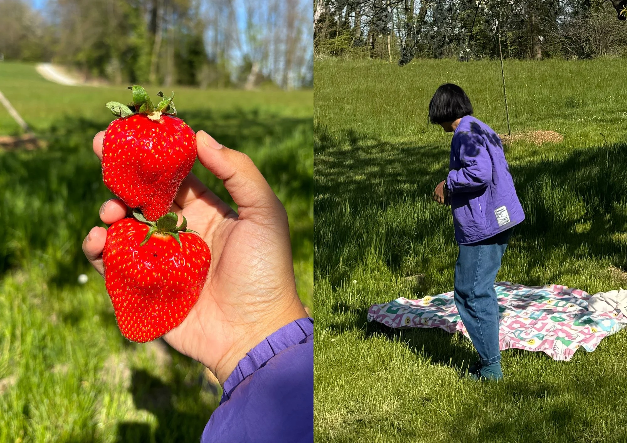 The-World-Behind-It-picnic.jpg