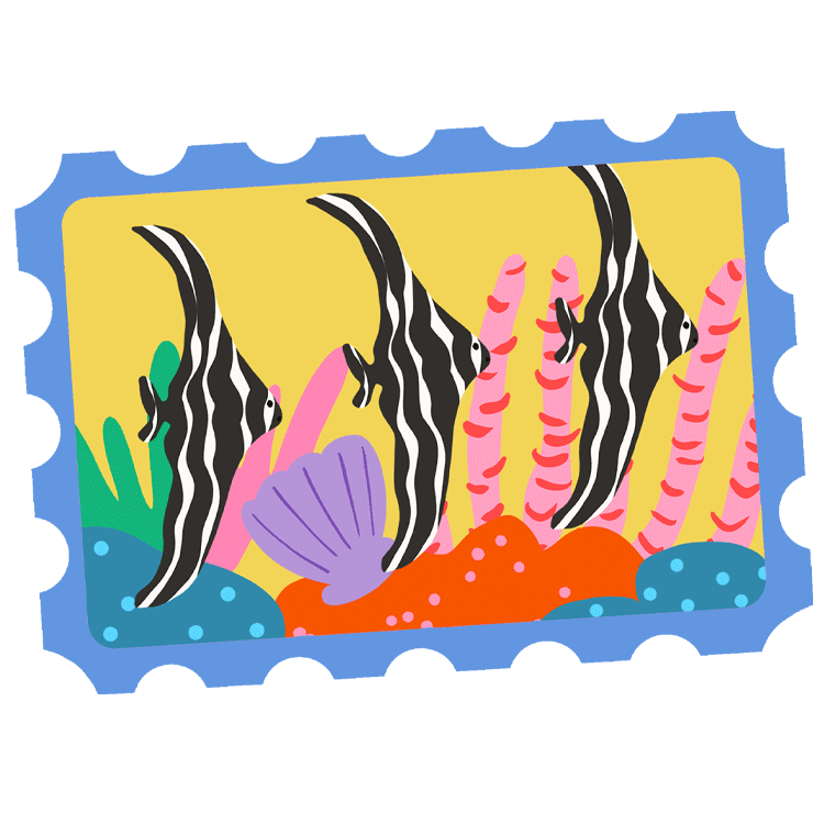 Part of The World I Grew Into main visual, featuring the trio juvenile batfish that I saw in Sulawesi
