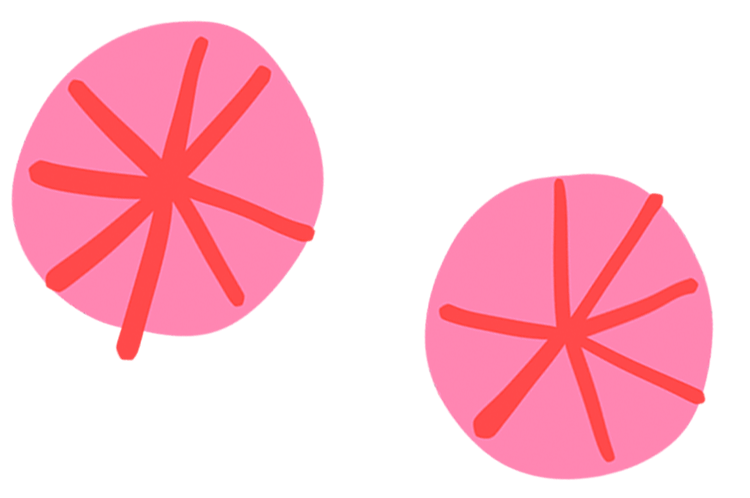 Two sand dollars, which in real life is actually white when it's no longer alive. But in my world, it's pink.