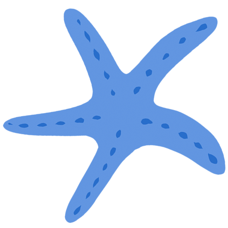 One of my favorite casual findings in my scuba dives, Linckia laevigata, or blue sea star! It's very common to see in the shallow waters of the tropical Indo-Pacific.