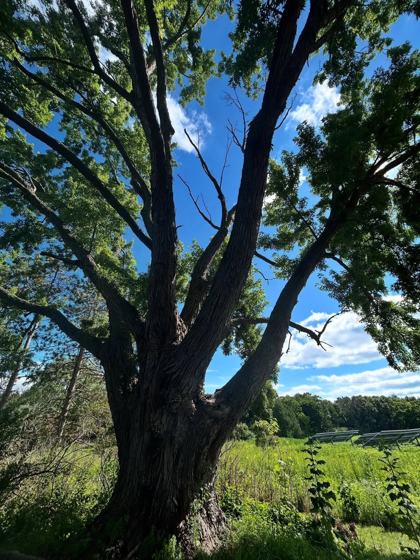 Last week, I got to take part in one of the most impactful retreat experiences of my life. 

I originally signed up for the @inneredgemeditation Mental Performance in Sport retreat  thinking how awesome it would be to gain new insights and skills to 