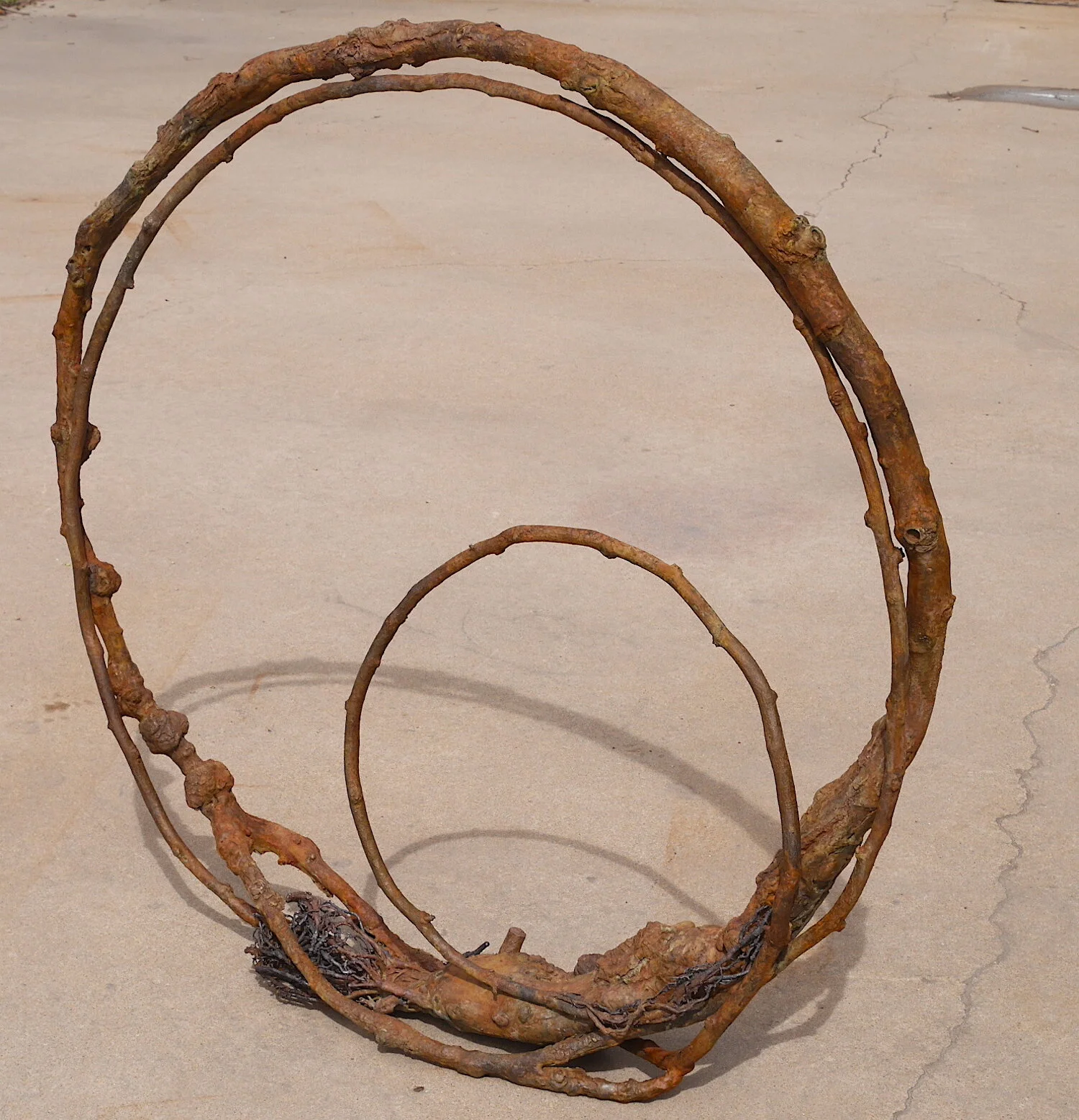 Colorado Loop #6 (2010)