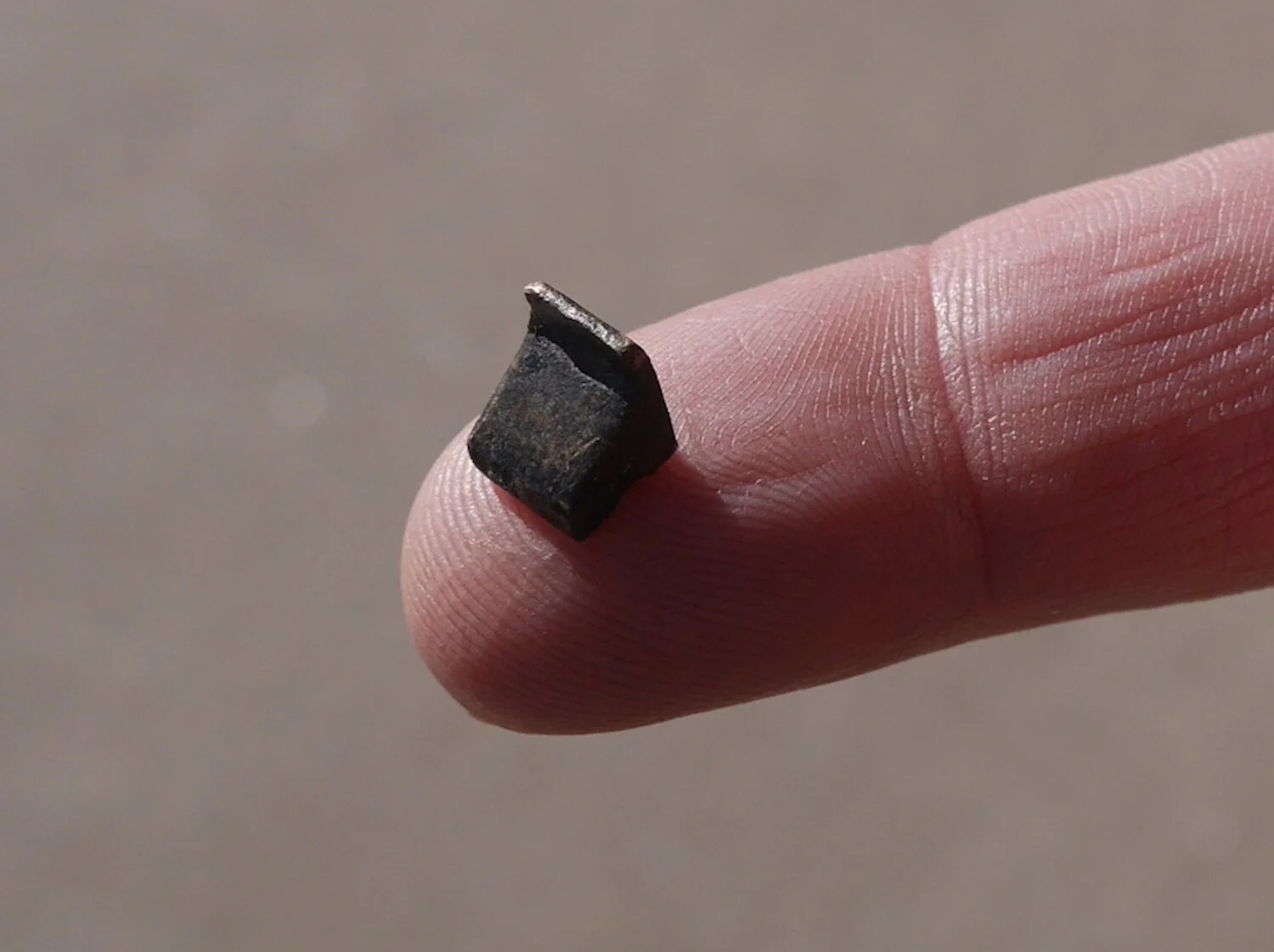 Art Toys 'R' Us - Slant Step for Ants (2004)