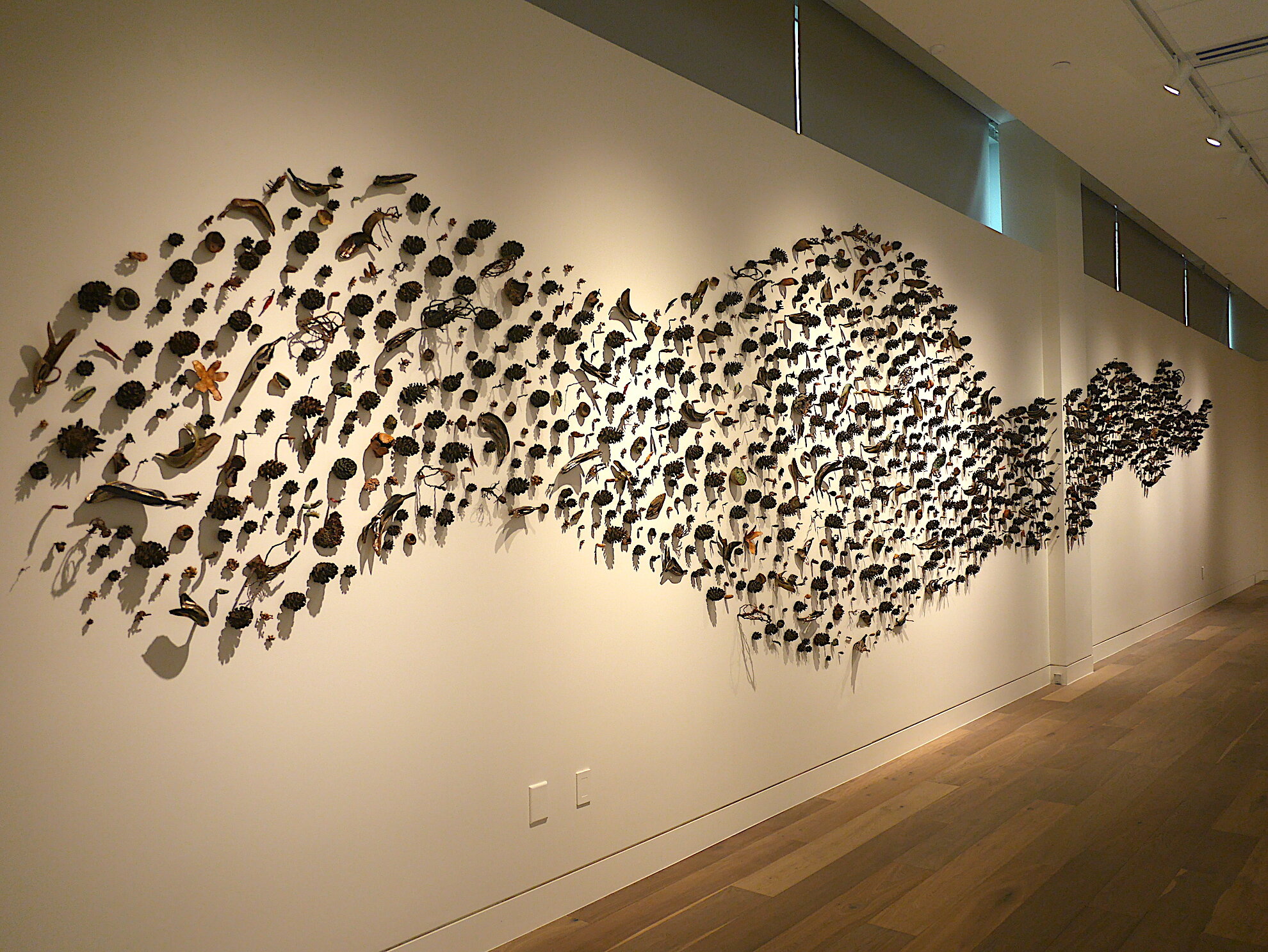 2021 Denver Botanic Gardens, Denver Colorado