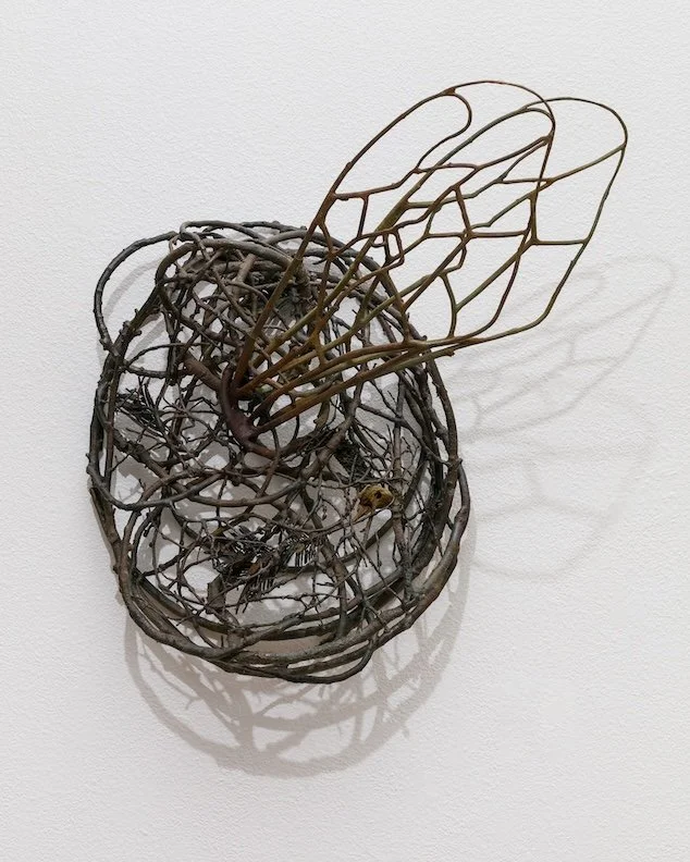 Desire of Flight #1.jpg