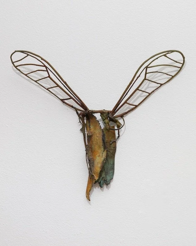 Desire of Flight #11.jpg