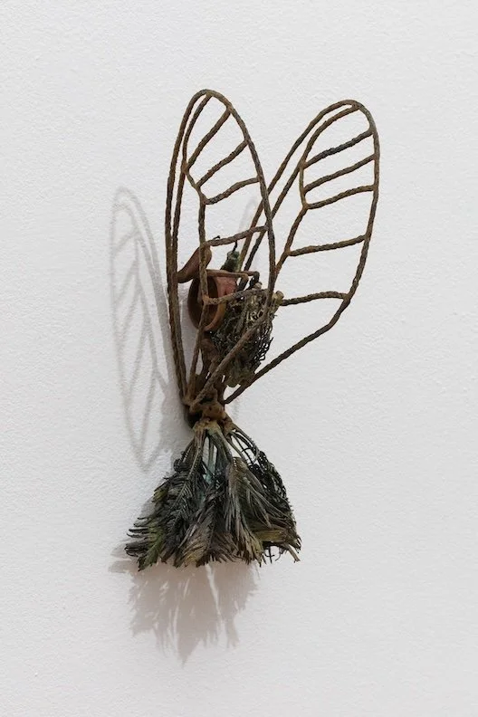 Desire of Flight #17.jpg