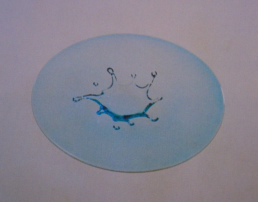 Splash Plate copy.JPG