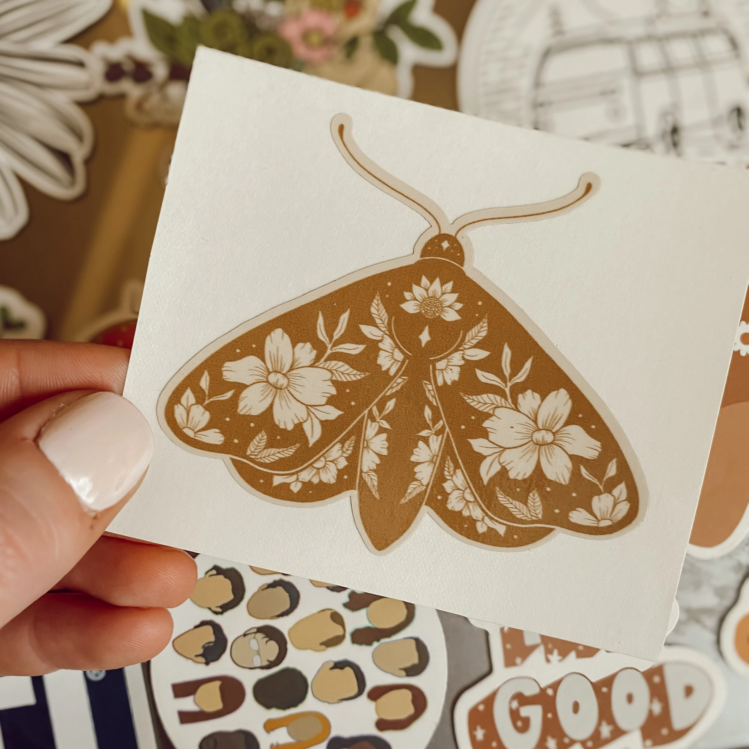 4428CFD3-D02E-4A19-99F1-B9C412F0C0F4