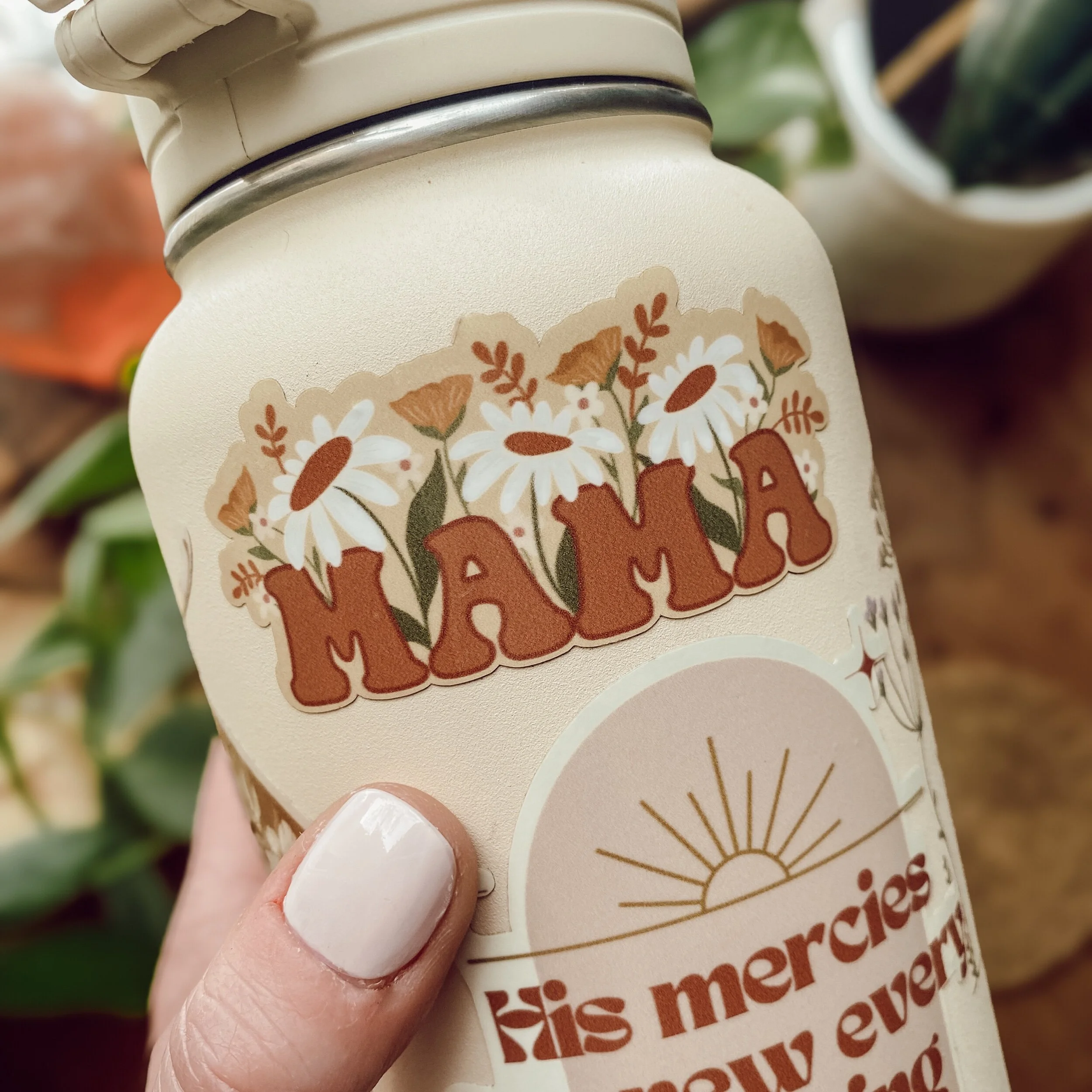 64488482-40A6-4BA5-A639-87F126E3FF94