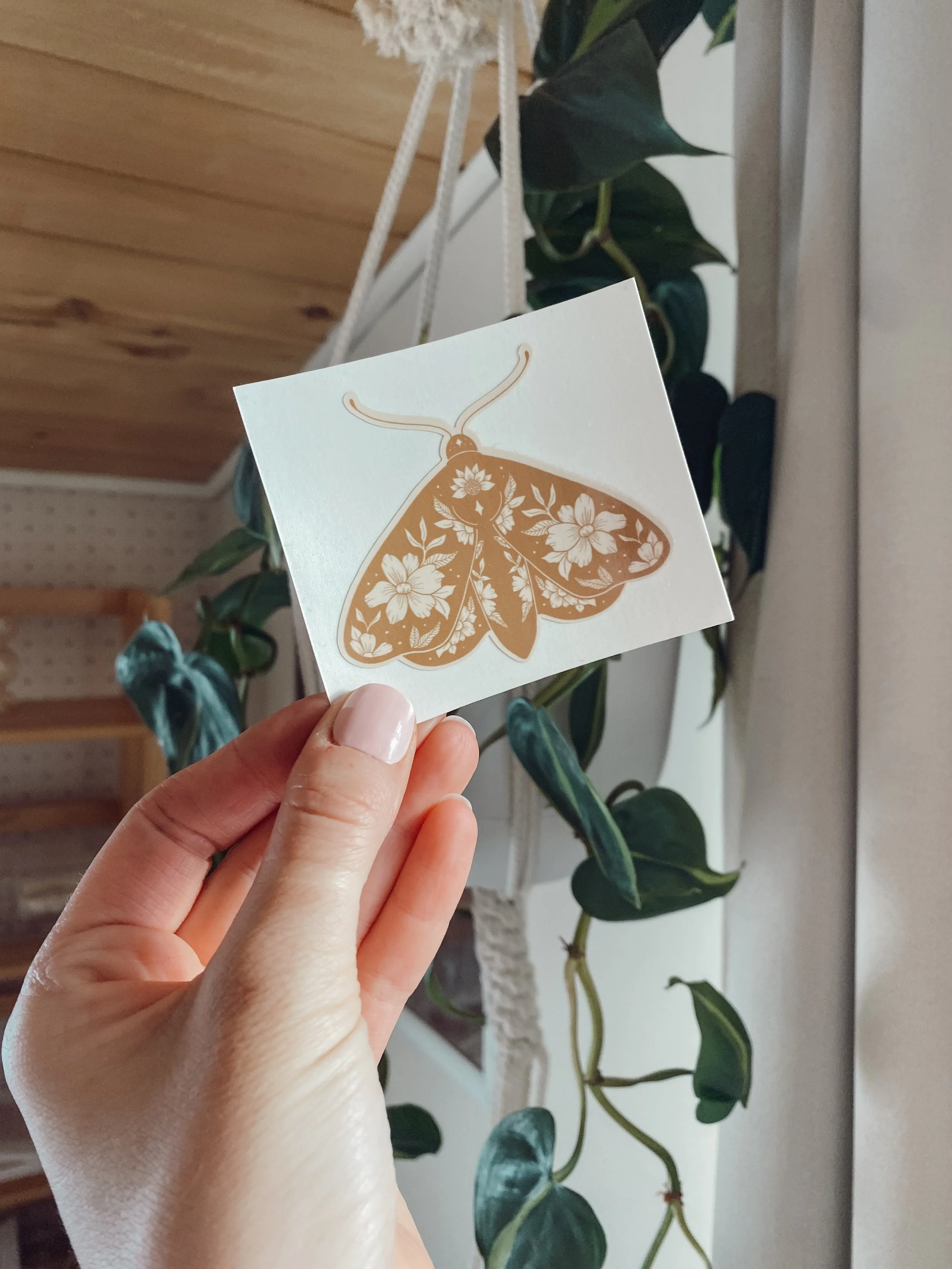 Moth Sticker