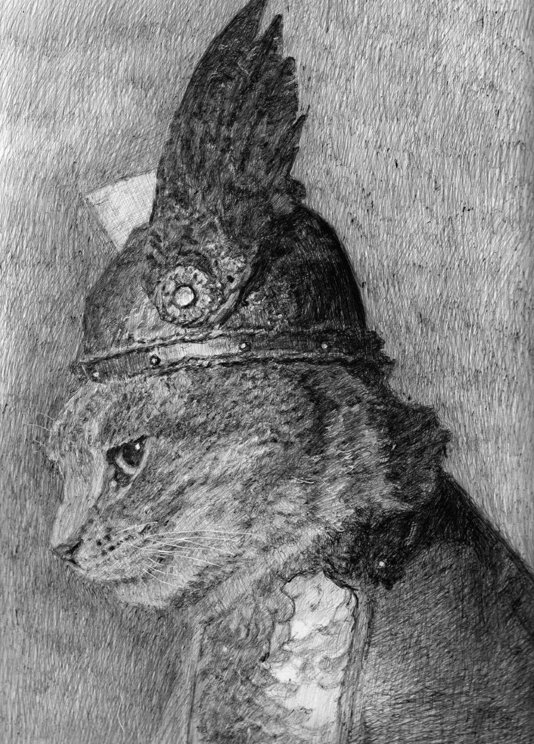 IMG_20260320_0001 -.jpg