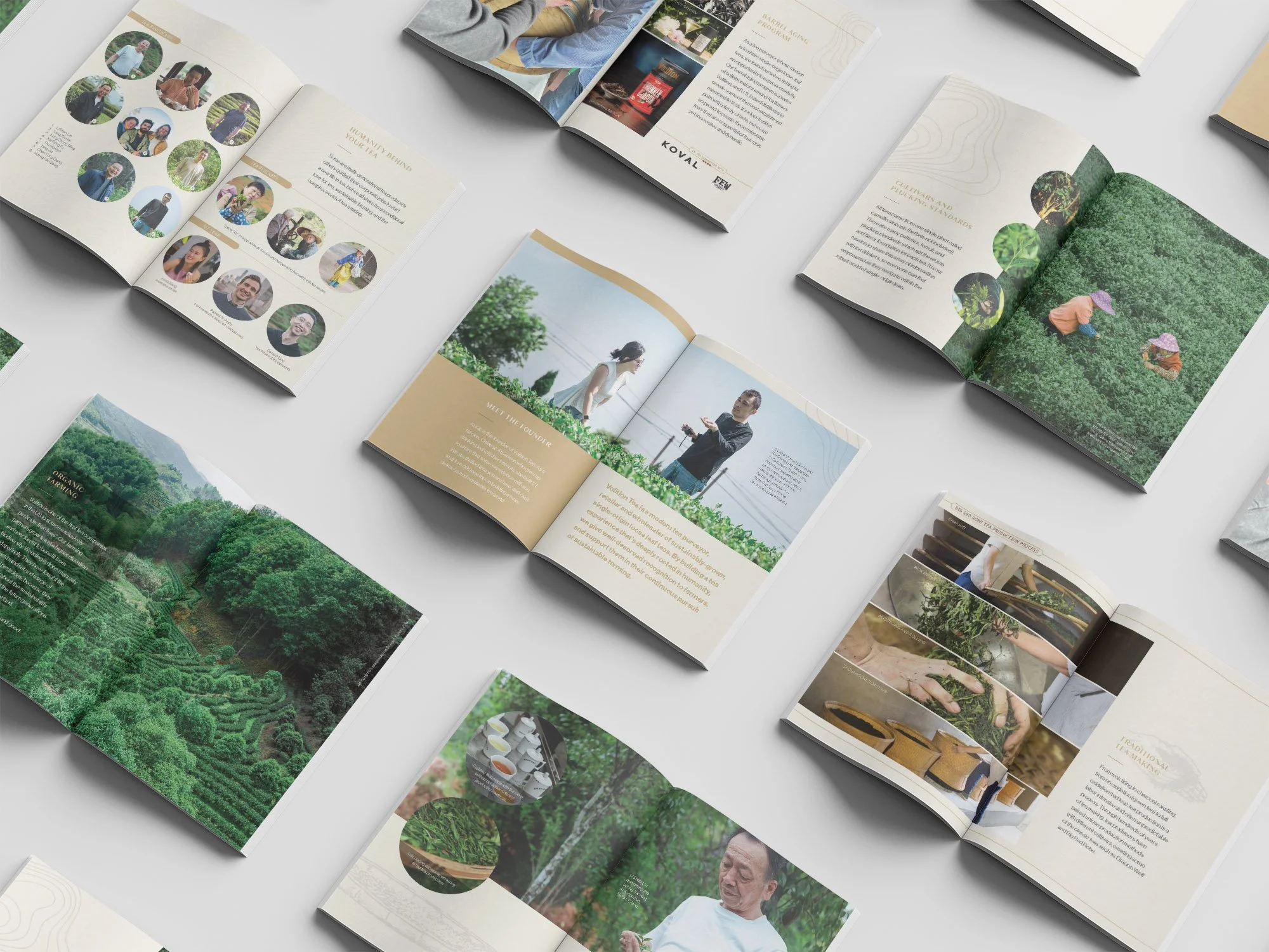 Brochure spreads with Volition Tea products and storytelling of the farmers.