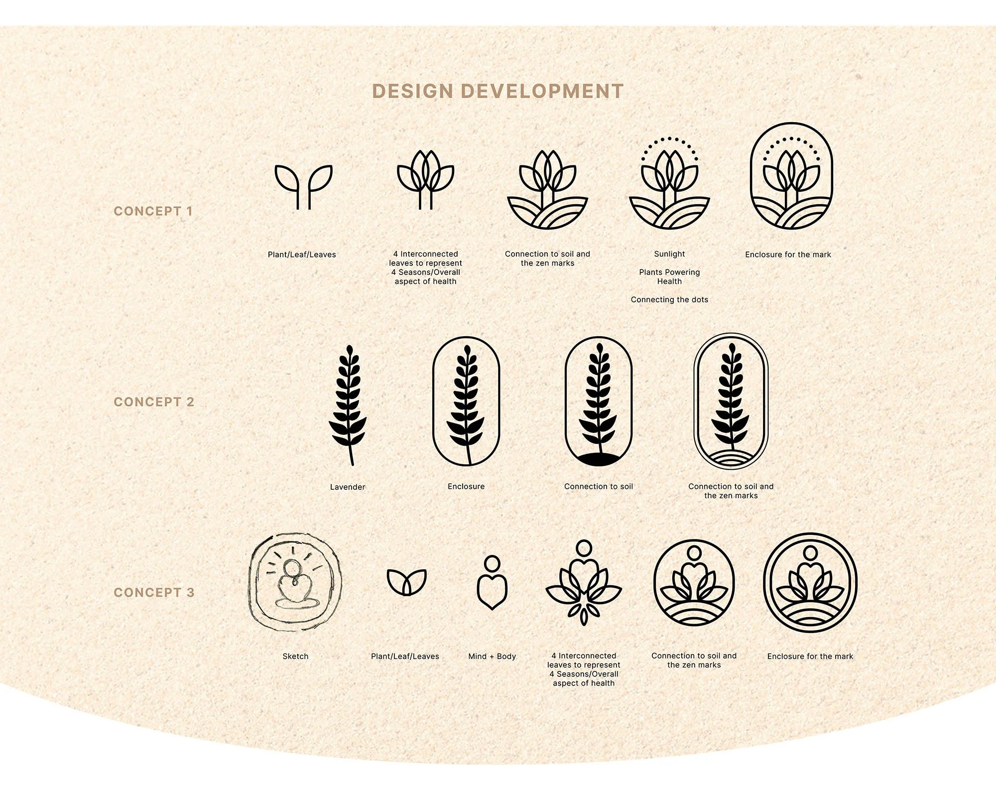 Horticulture 4 Health logo design development showing three concept sketches and design process.