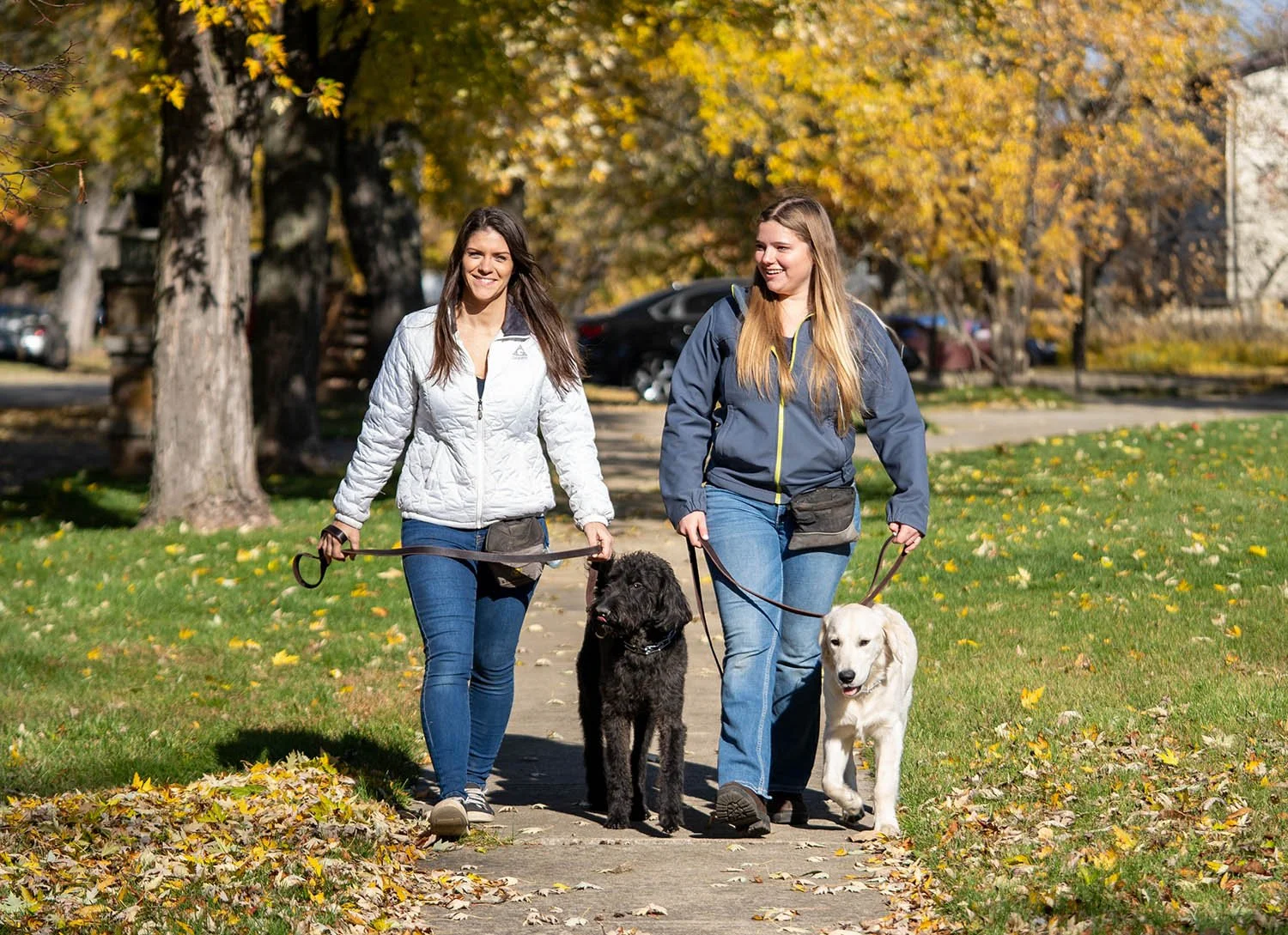 Two female dog trainers walking a black dog and a white dog outside in the fall season.