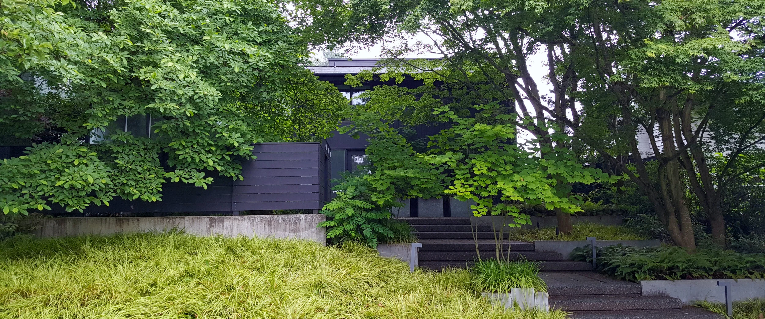 Volunteer Park Modern