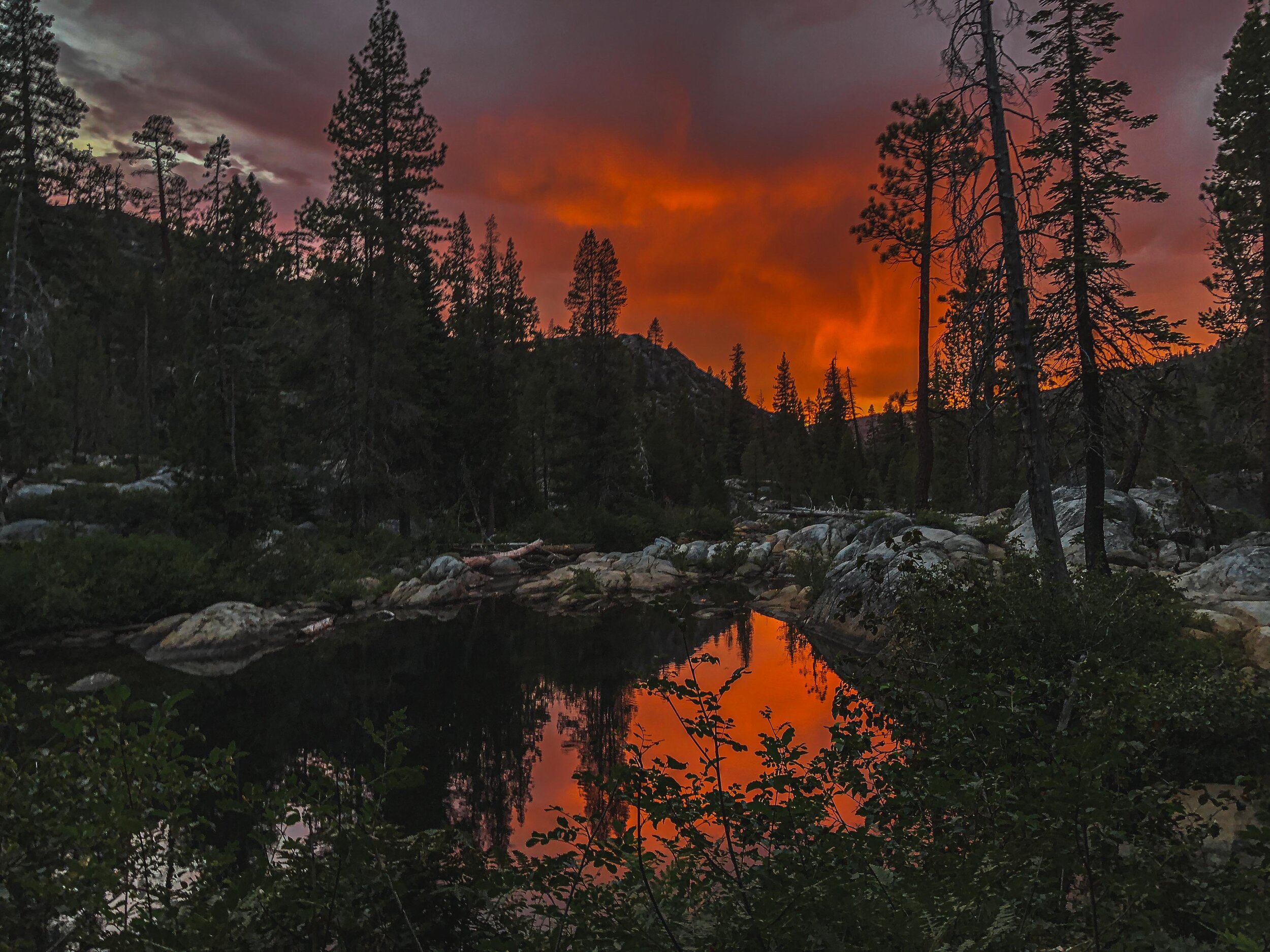 CapturedbyGregBodene-8306.jpg