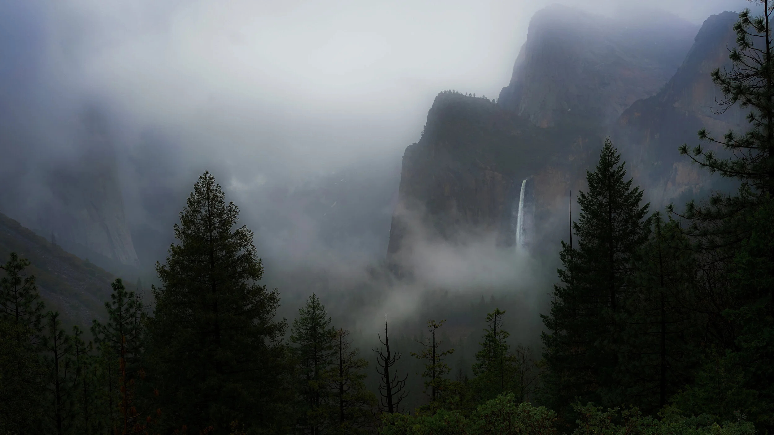 DSC03643-3.jpg