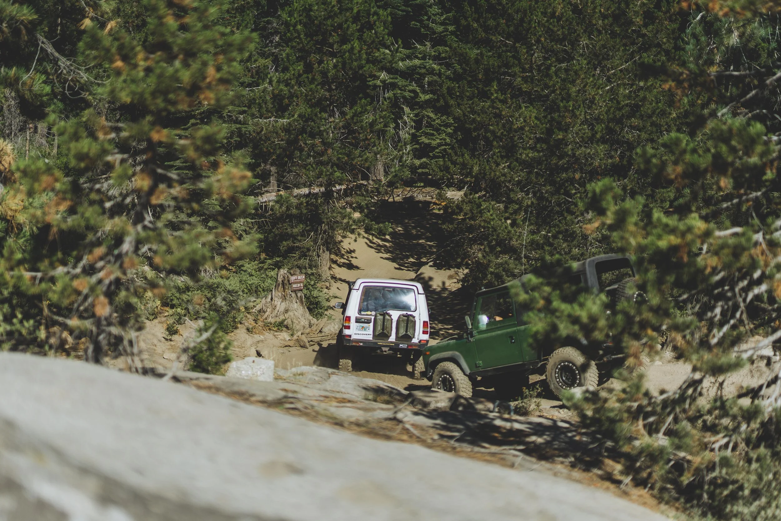 CapturedbyGregBodene-03361.jpg