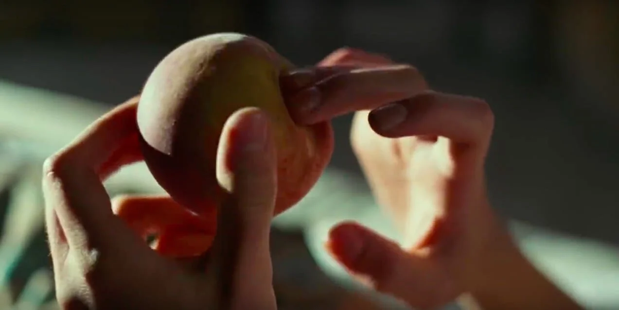 Why The Peach Scene From Call Me By Your Name Is An Art Form Cinesque