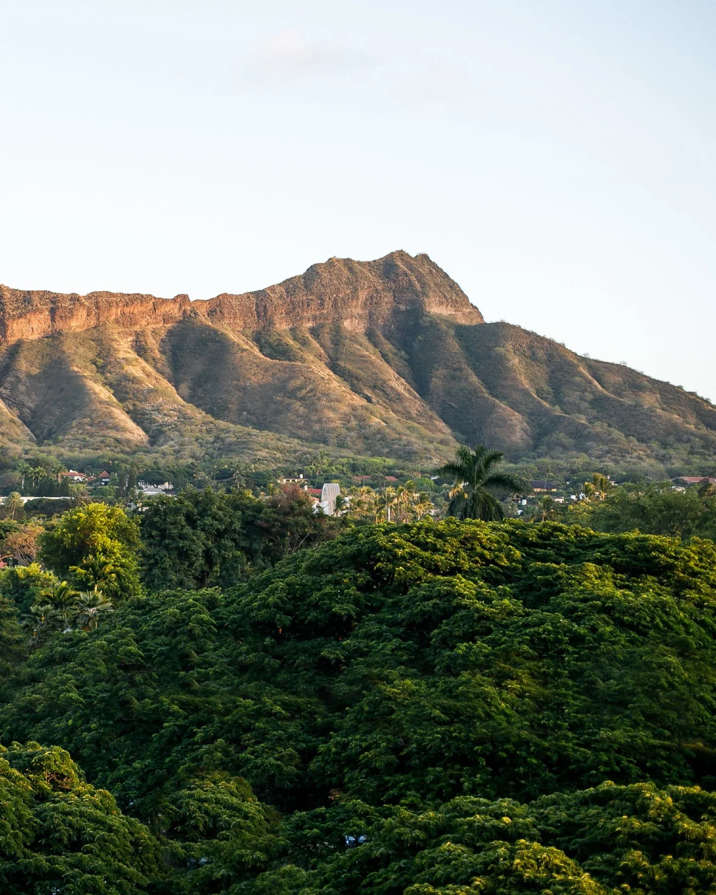 Happy Holidays from the gorgeous Diamond Head in Waikiki. We are open every day.

Knots Coffee Roasters. Waikiki
Open daily 6:00AM - 4:00PM
Happy Hour 2:00PM - 4:00PM
@queenkapiolanihotel Waikiki, Hawaii