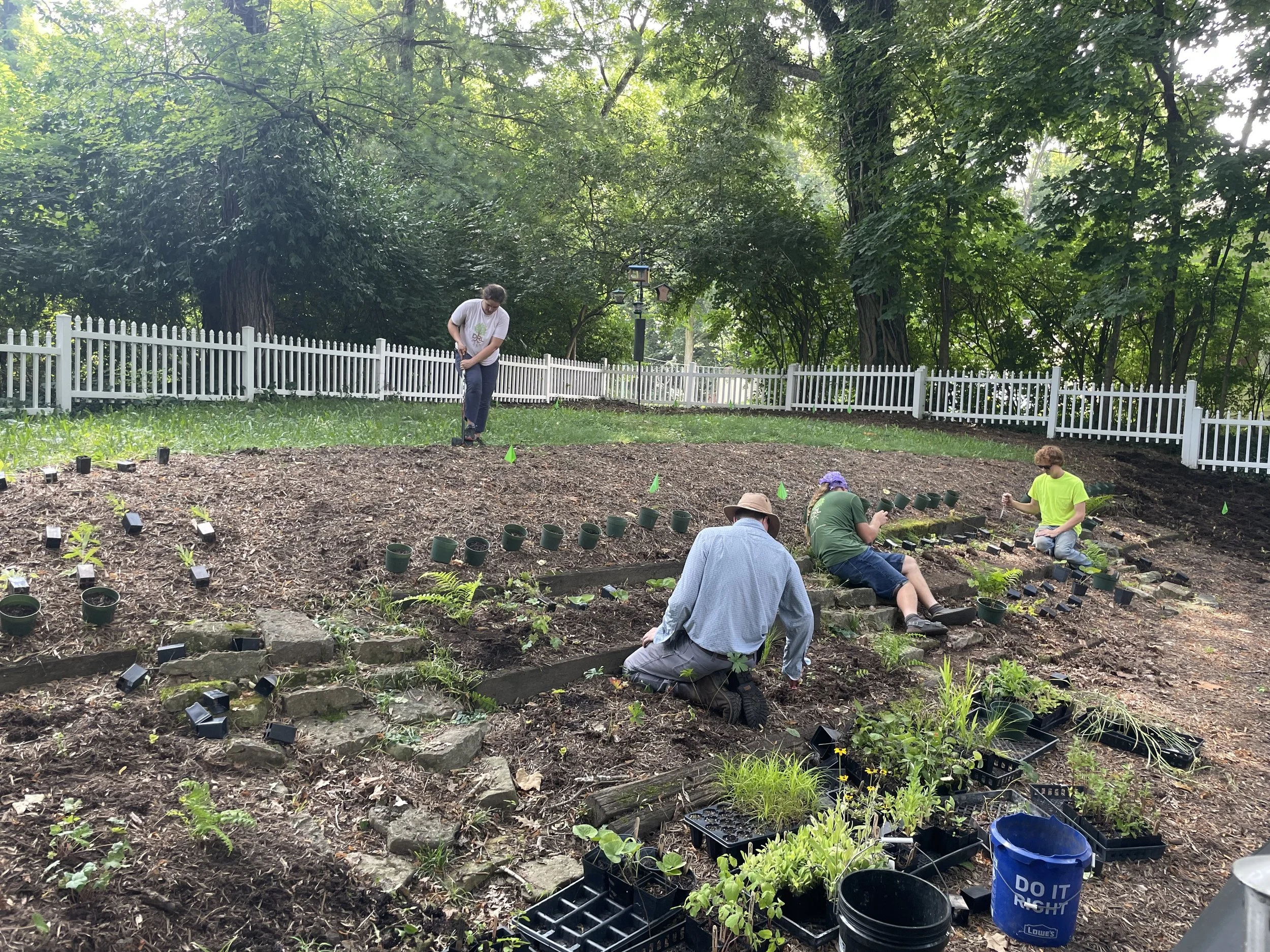 Laura's Garden 1.jpeg