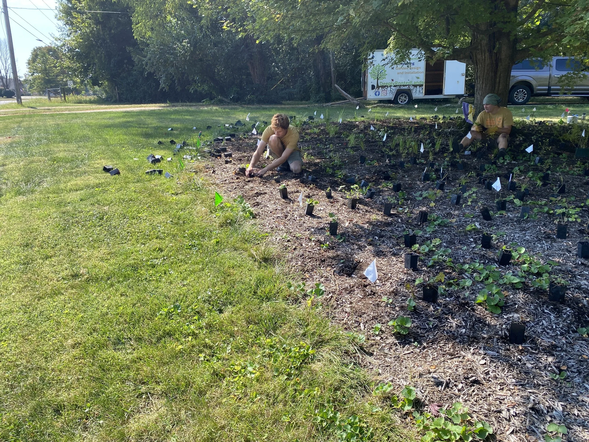 Colleen's Garden 1.jpeg