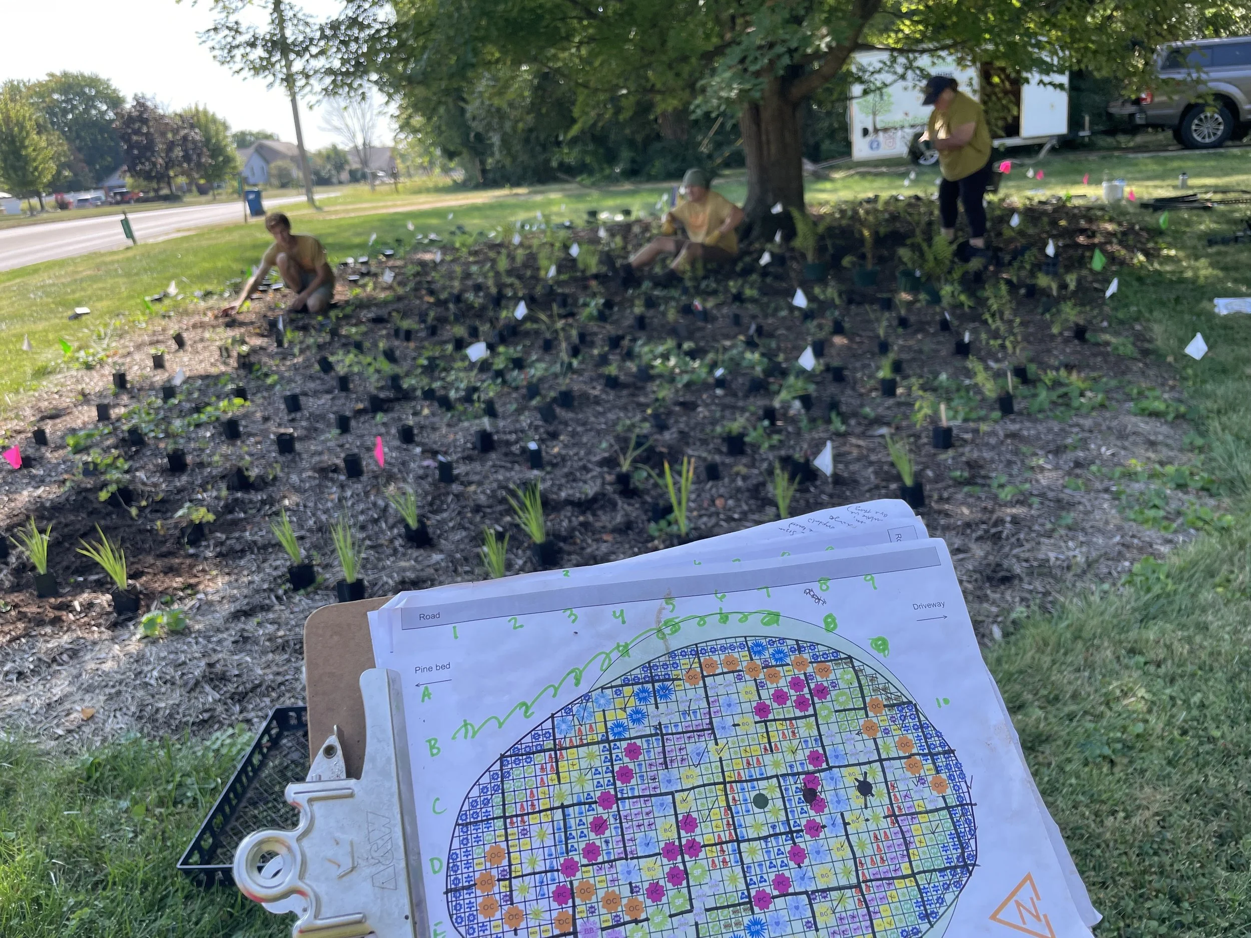 Colleen's Garden 3.jpeg