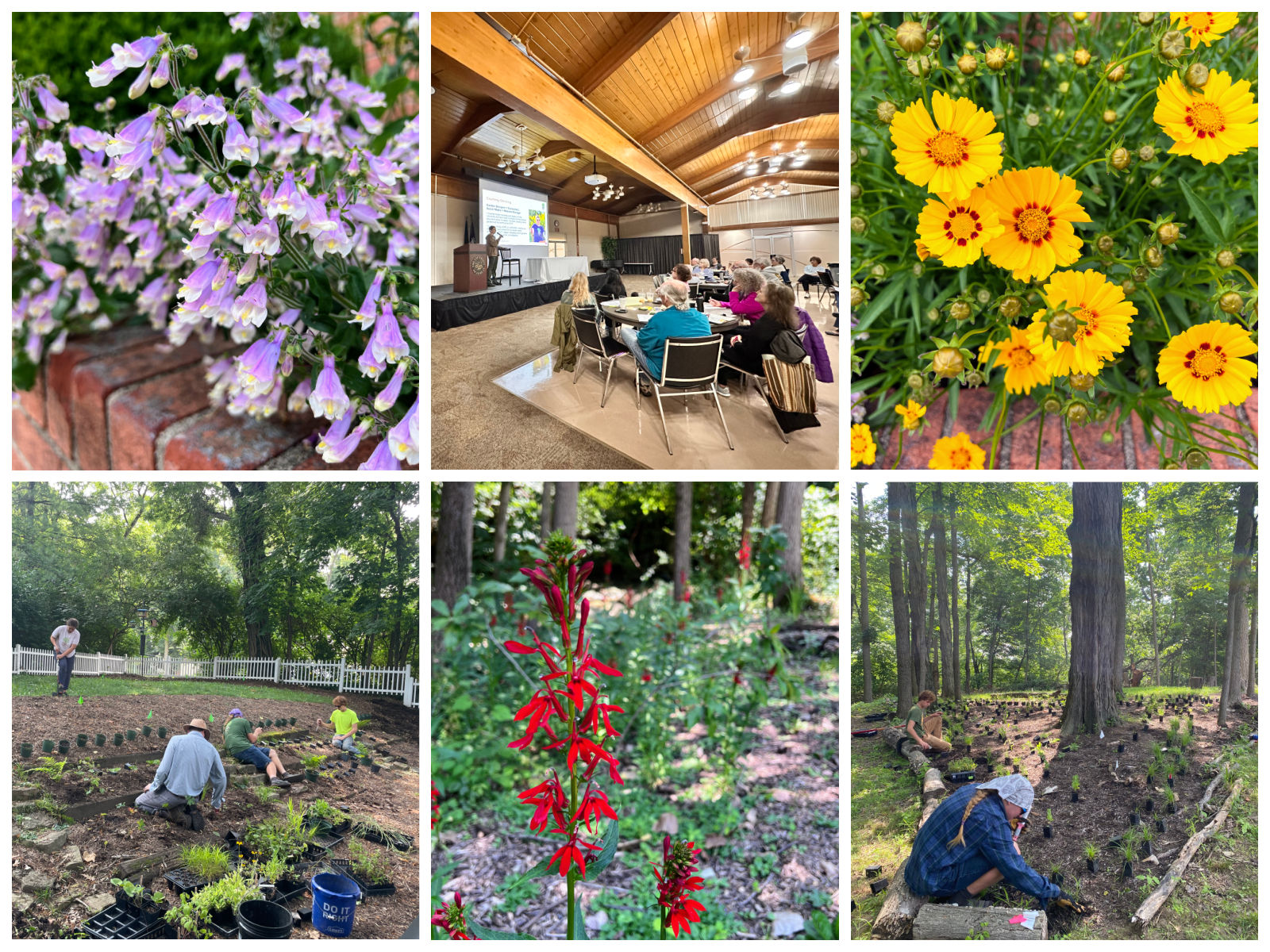 2025 Reflections: Growing Gardens and Connections