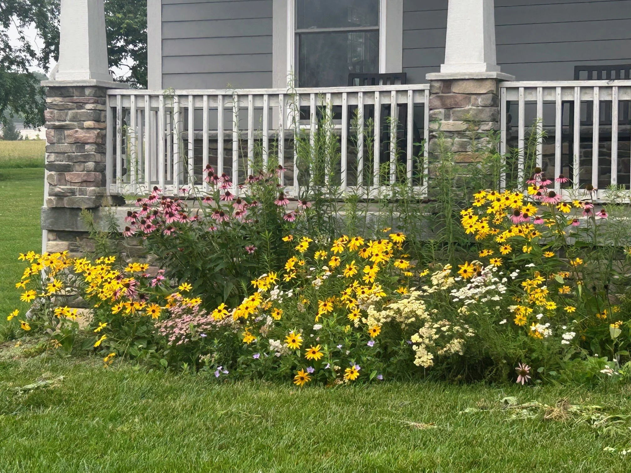 Jenn M's Garden 1.jpeg