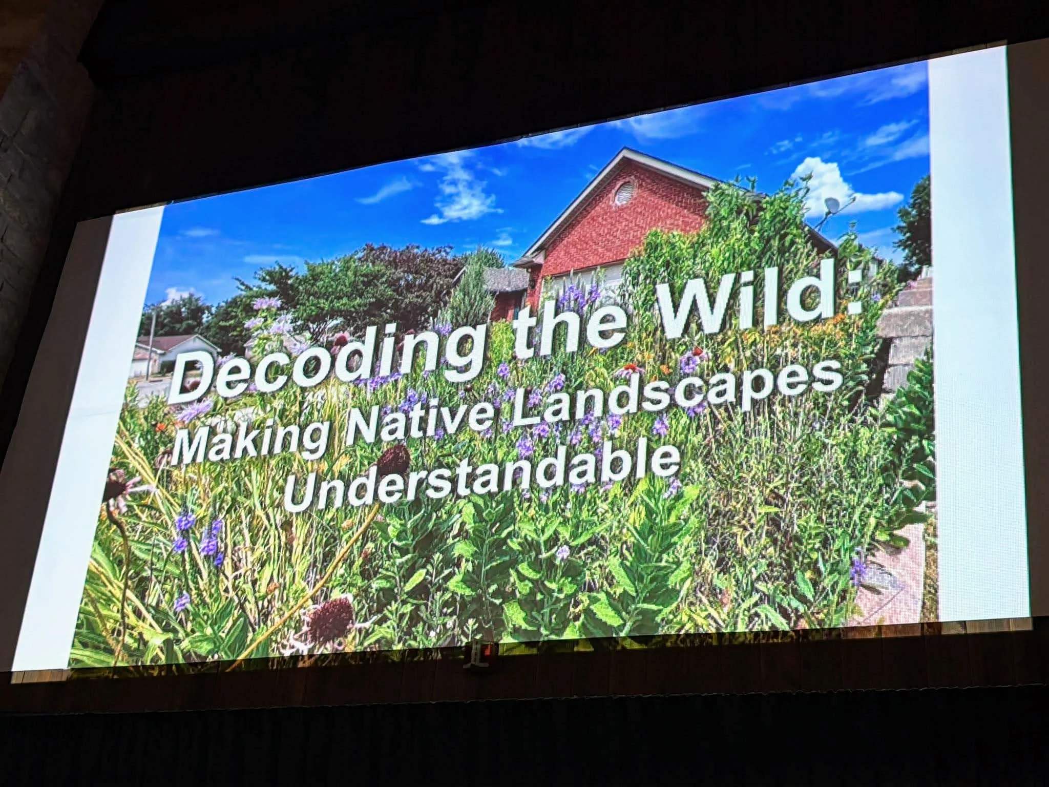 Decoding the Wild.jpg