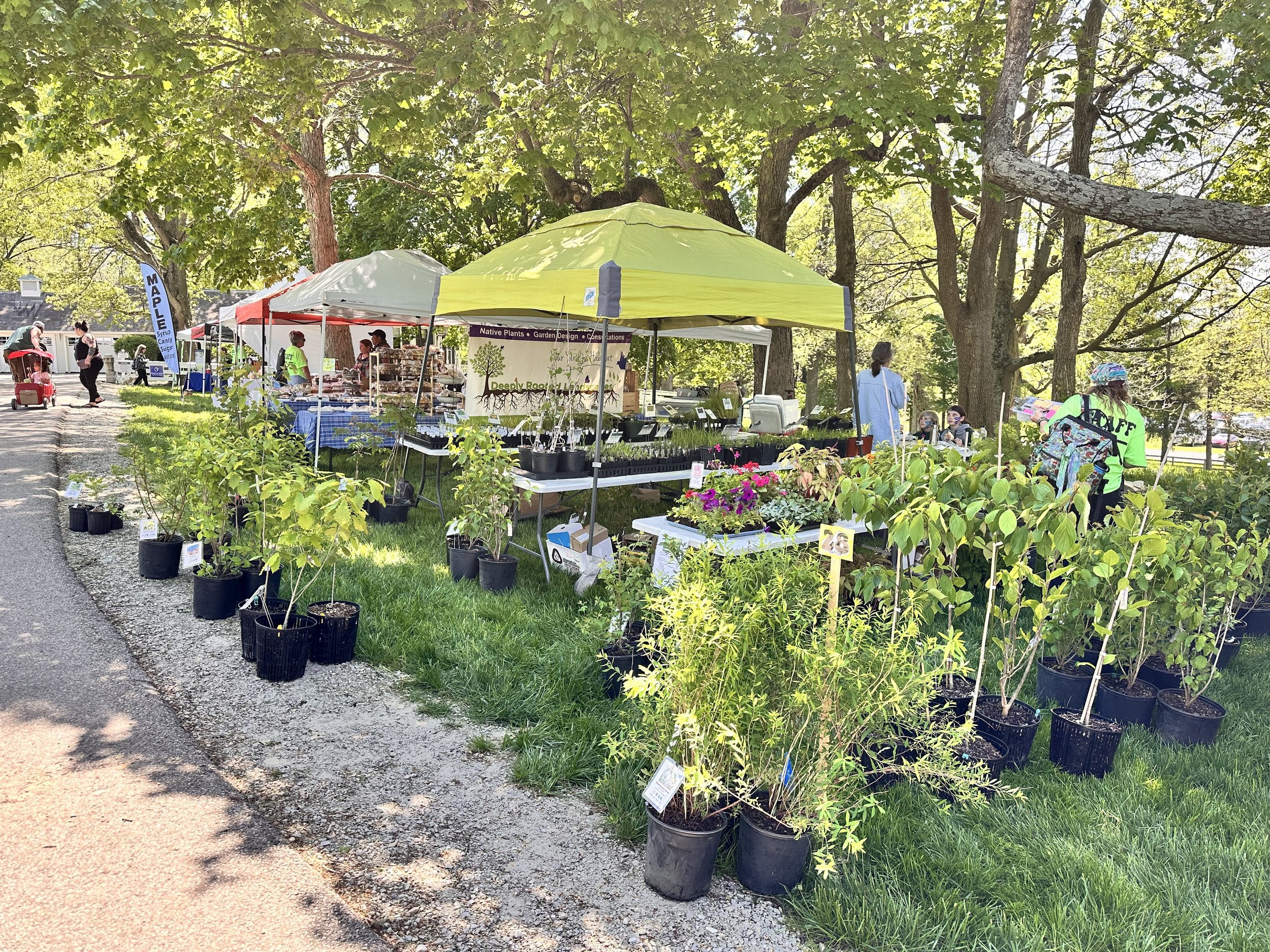 Hug the Earth 2.jpeg