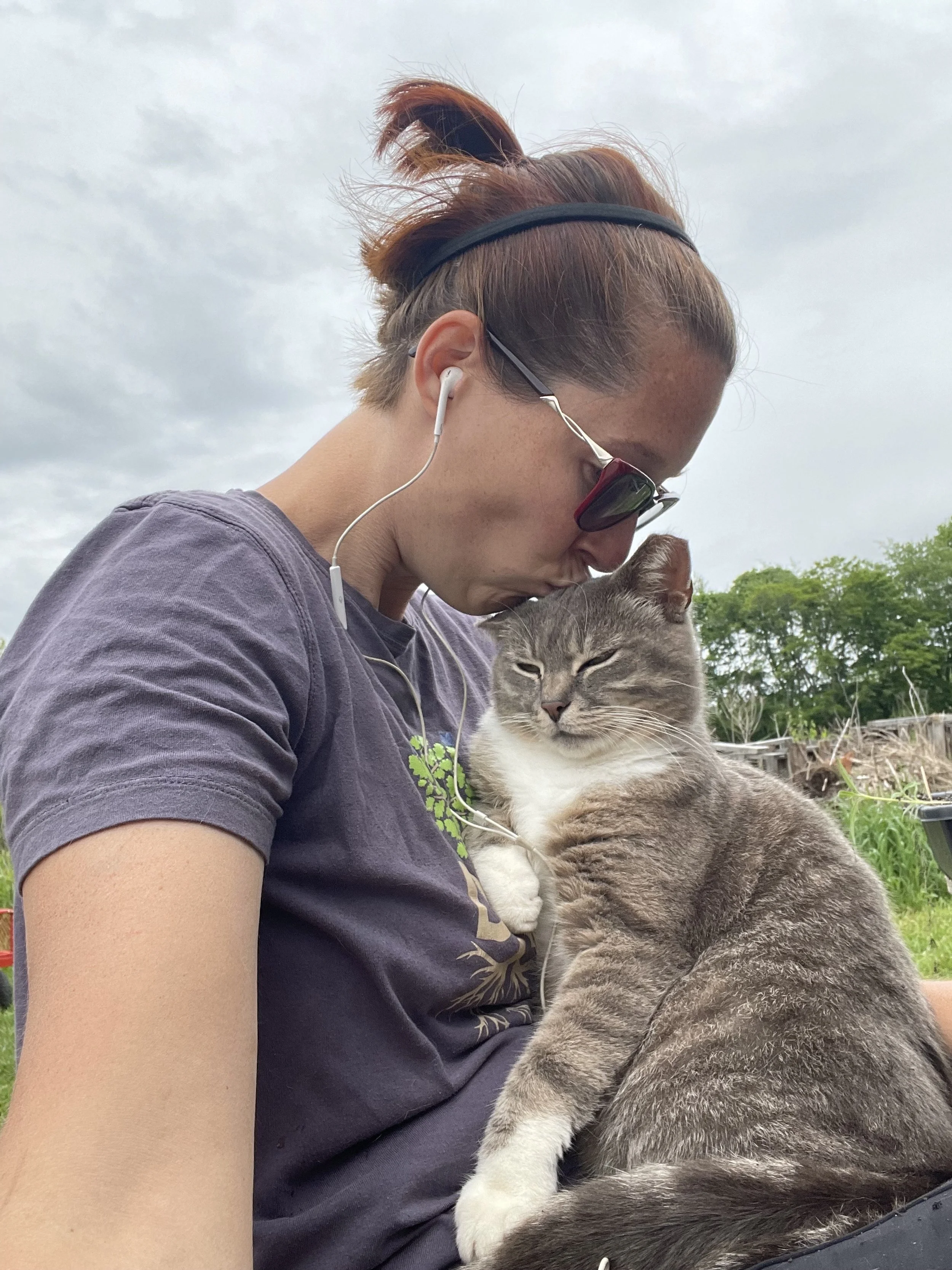 Rainbow Fancy 4.jpeg