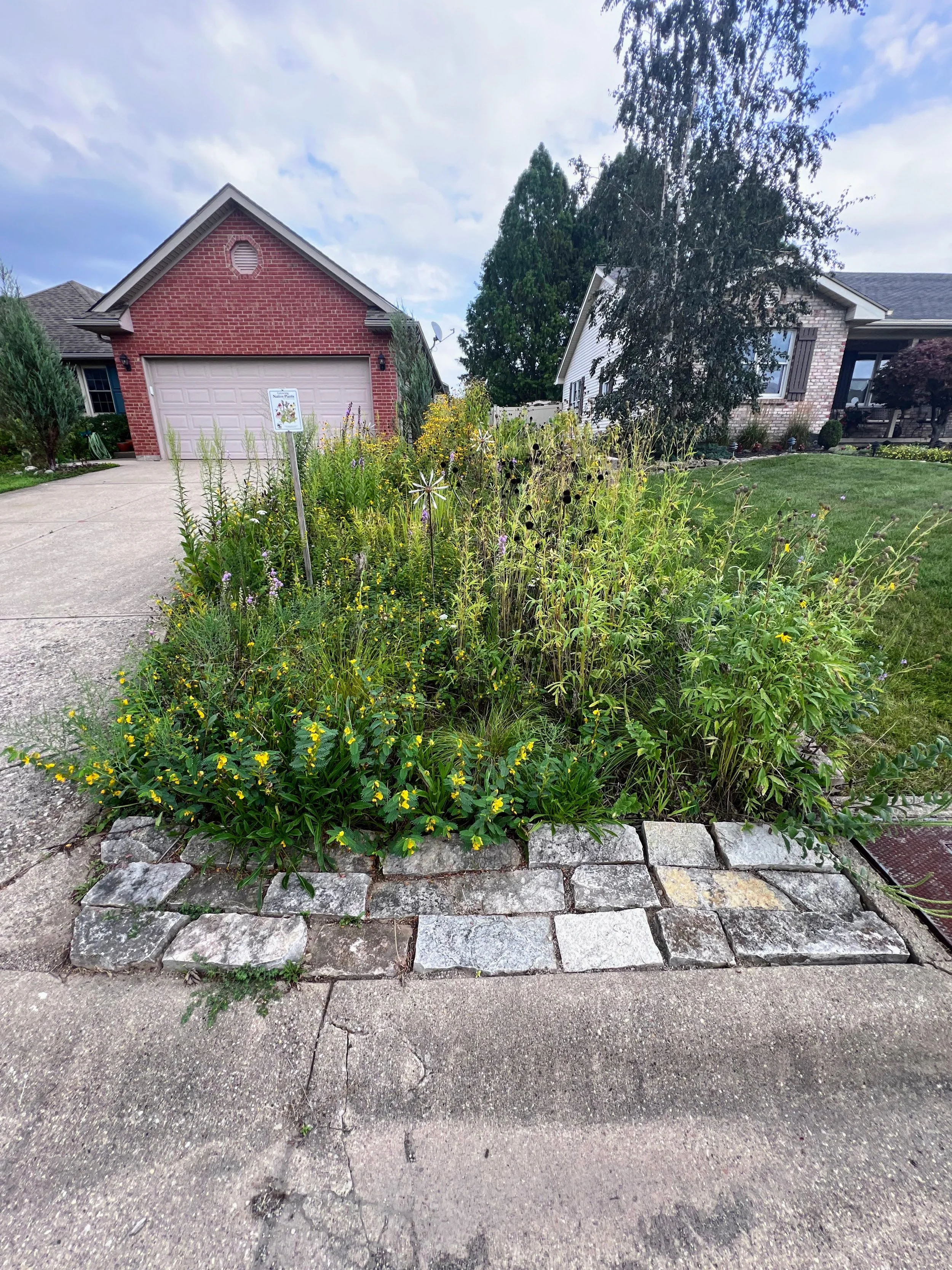 5 years post install, needs editing