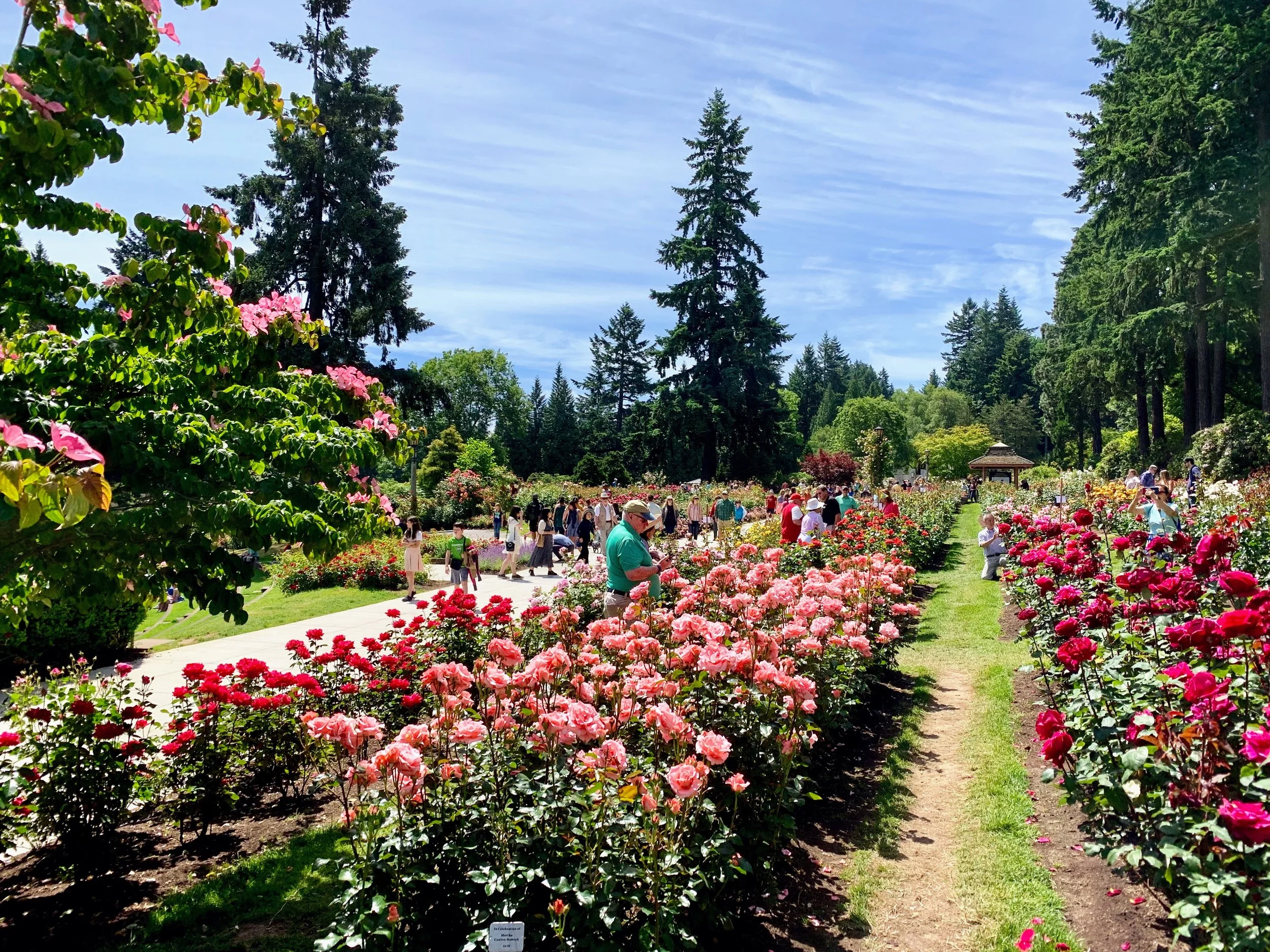 International Rose Test Garden