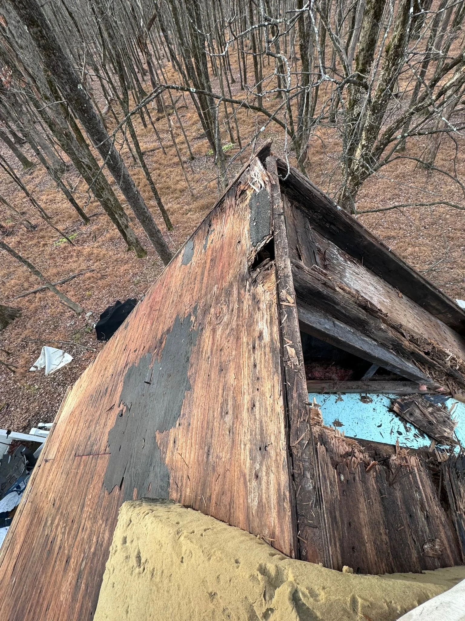 0222b011-e185-4f5e-9053-f82fddbc9a41.jpeg