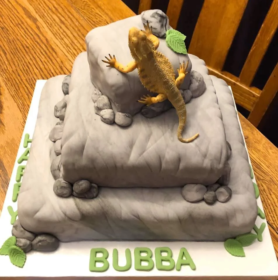 lizard stone cake.jpg