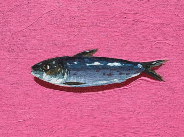 Screenshot 2025-12-17 at 11.46.15 AM.png