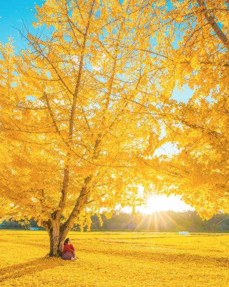 Screenshot 2026-03-26 at 11.43.22 AM.png