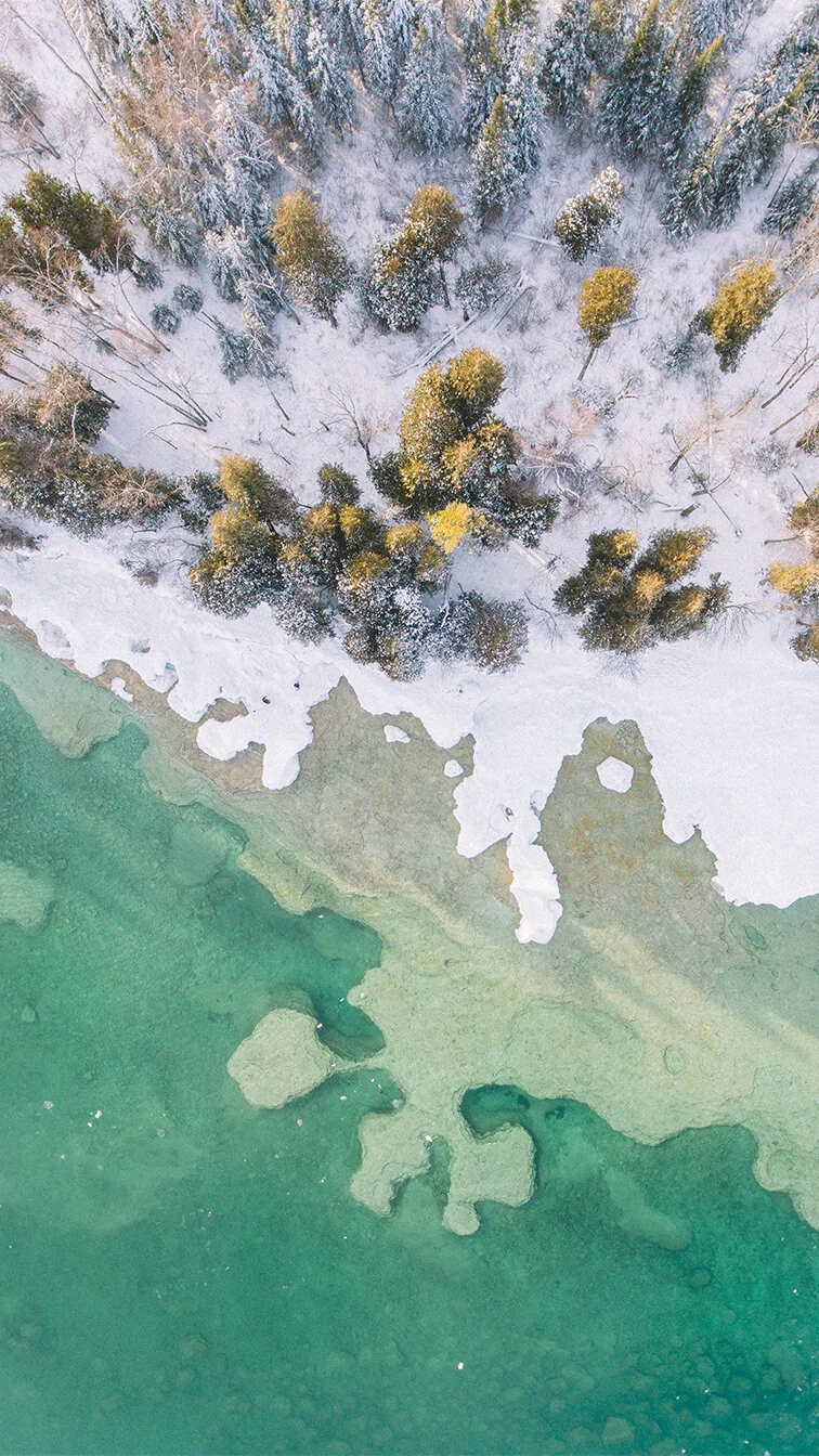 Phone-Wallpaper-1-Frozen Coast.jpg