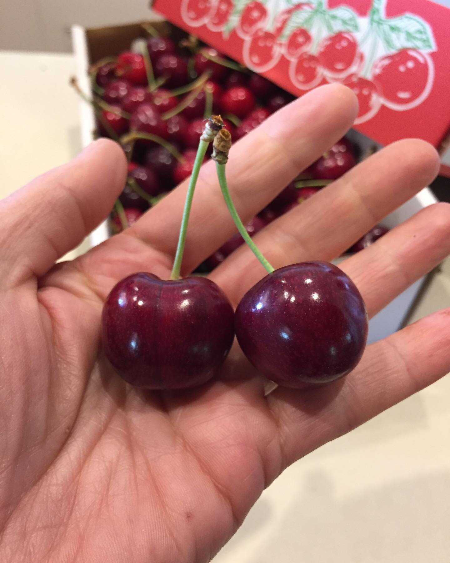 Treat yourself to the taste sensation of Demeter certified biodynamic cherries this season 🍒&hearts;️
Ask your local organic store to buy your Upton Grove cherries... they taste even better than they look! 
Farmgate pickup is encouraged but availabl