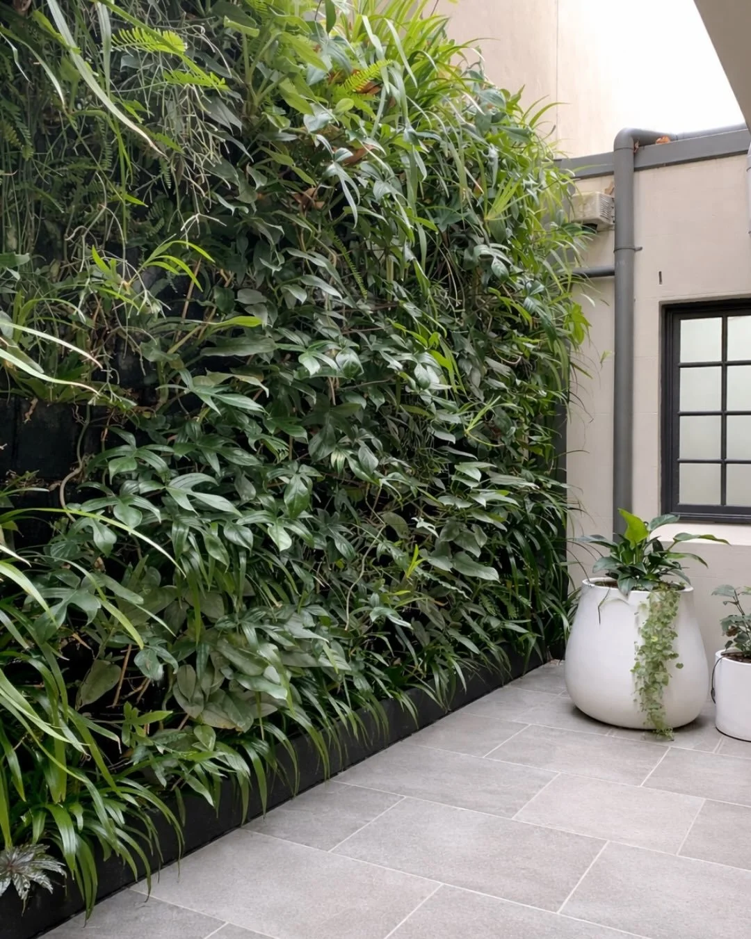Before this space was reimagined, it was dark; a narrow void between walls. Little warmth. Little life.

Today, it&rsquo;s a living canvas 

At NIWA Designs, we designed and delivered the green wall, pots and limestone paving to transform this area i
