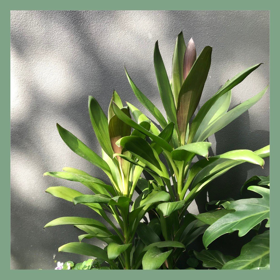 Peaceful moments: spending sometime in the garden. Nothing beats taking a moment at the end of the week and being grateful for what has got you to where you are at this point in time. We aim to create areas in our clients gardens, where they can have